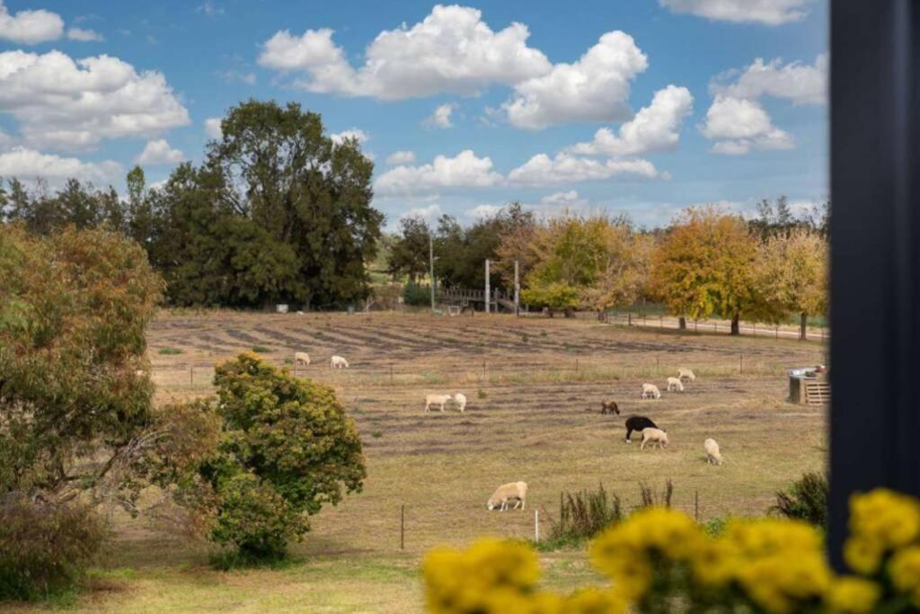 Heart Of Canowindra - Heritage Escape With A Viewヴィラ エクステリア 写真